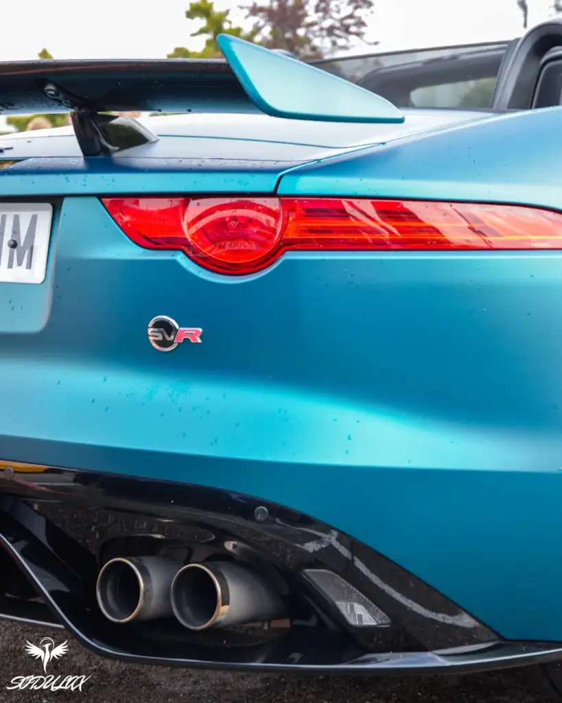 Jaguar 1