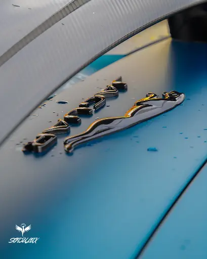 Jaguar