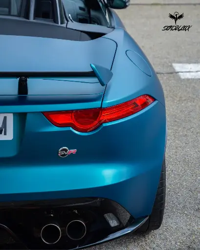 Jaguar 3